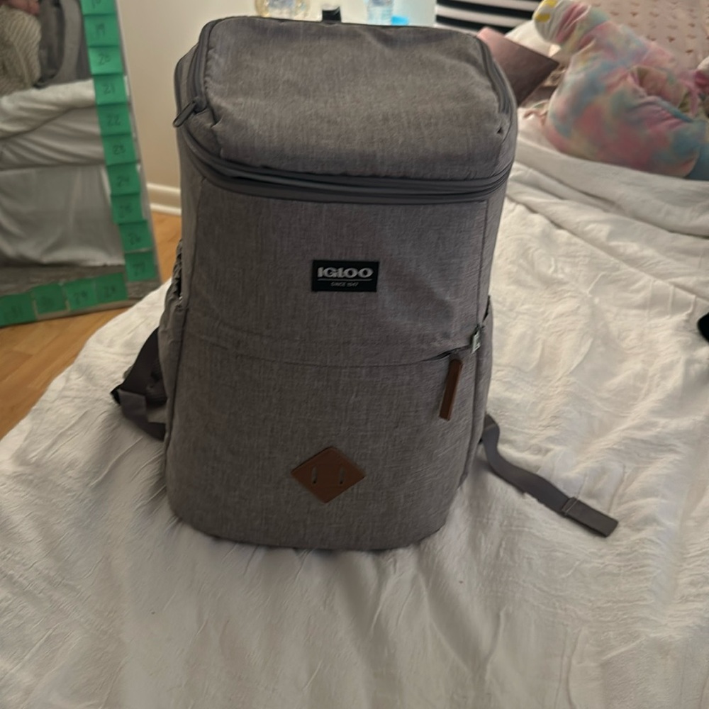 Igloo insulated backpack